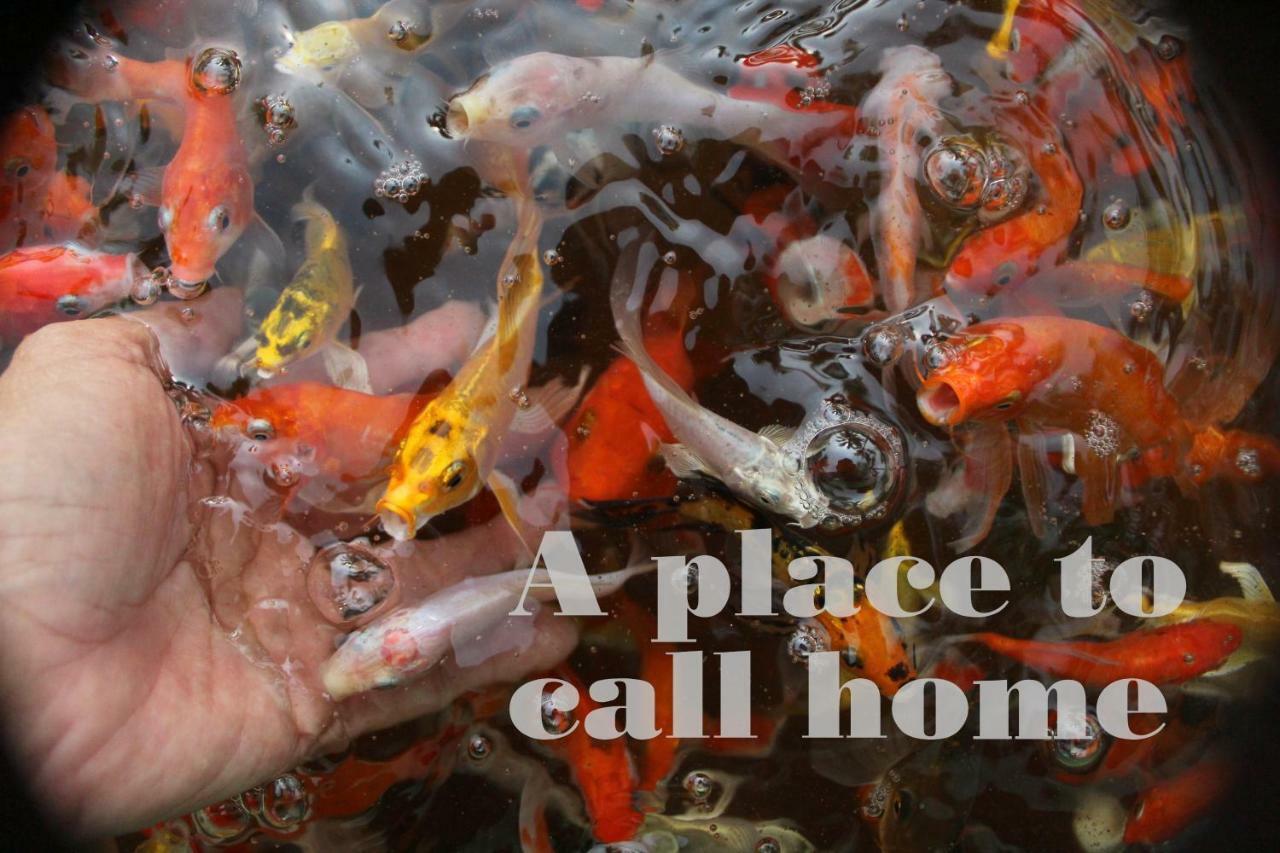 Thach Thao Homestay Mỹ Tho Eksteriør bilde