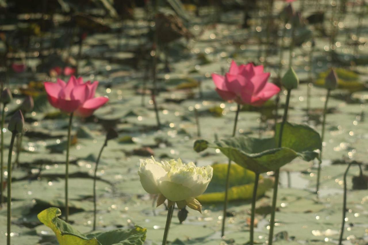 Thach Thao Homestay Mỹ Tho Eksteriør bilde